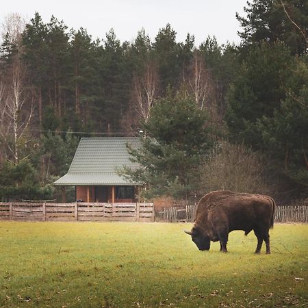 Villa Lesna 21 Dom Polnoc Przy Zalew Siemianowka Luka Esterno foto