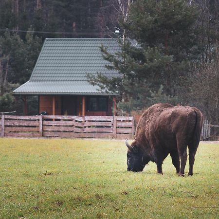 Villa Lesna 21 Dom Polnoc Przy Zalew Siemianowka Luka Esterno foto