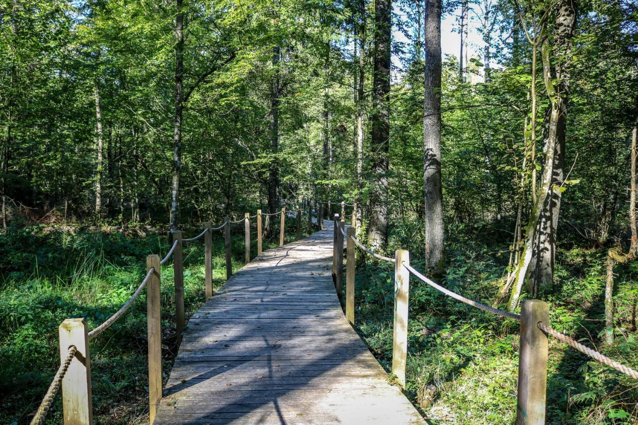 Villa Lesna 21 Dom Polnoc Przy Zalew Siemianowka Luka Esterno foto